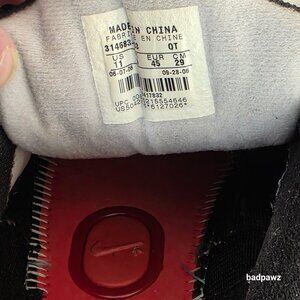 Original Nike+ system Air Max Running Shoes 🔥Ext Rare 2006🔥 Men's 11